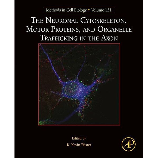 The Neuronal Cytoskeleton, Motor Proteins, and Organelle Trafficking in the Axon