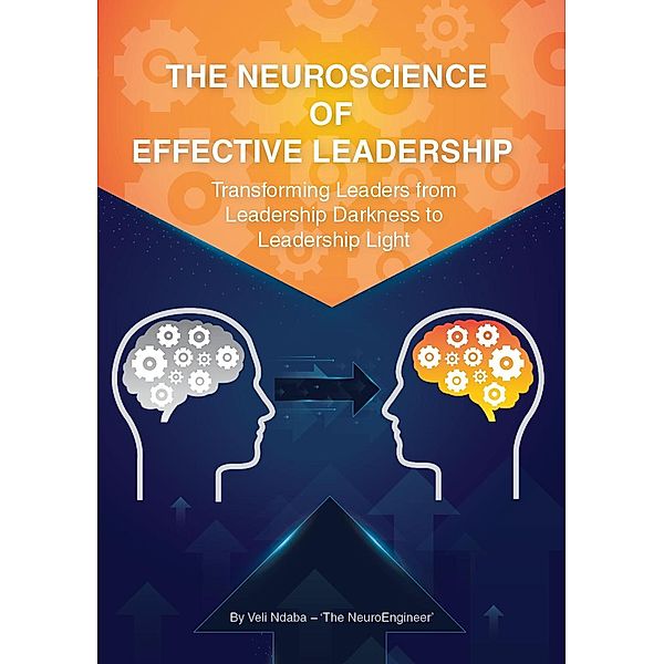 The Neuroscience of Effective Leadership, Veli Ndaba - 'The Neuroengineer'