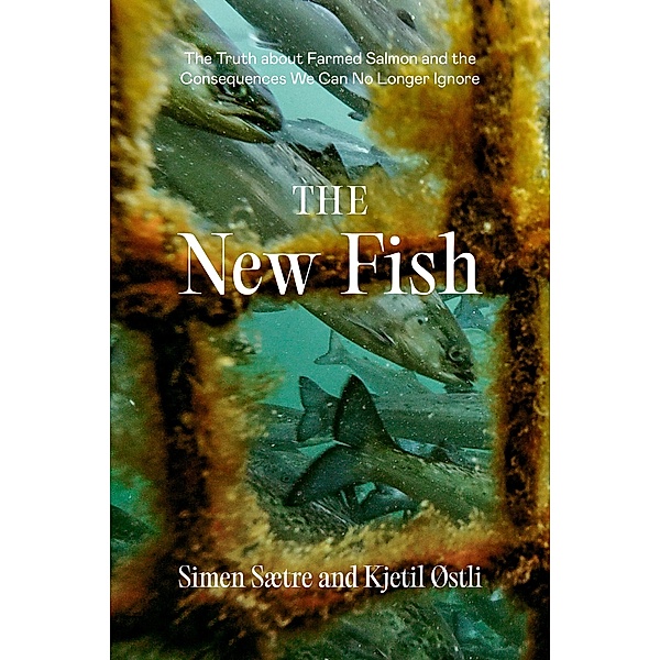 The New Fish, Simen Saetre, Kjetil Ostli