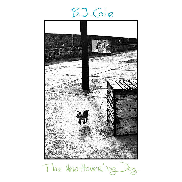 The New Hovering Dog (180g Black Lp) (Vinyl), Bj Cole