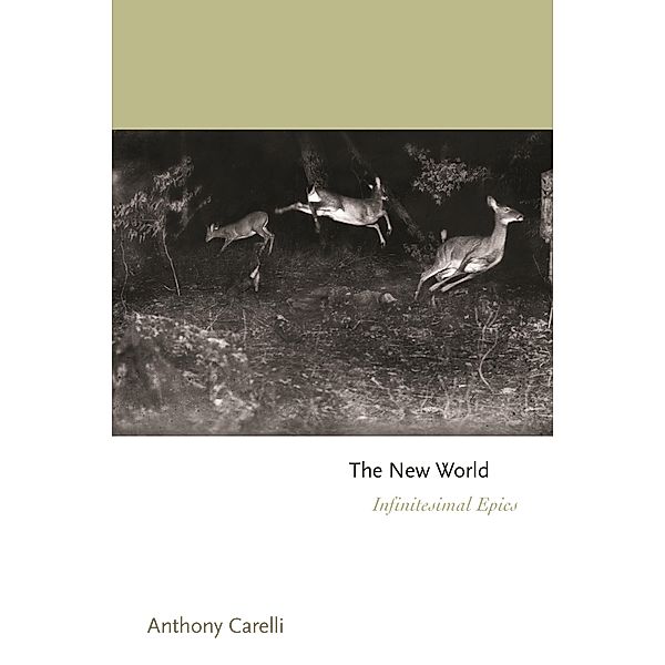 The New World / Princeton Series of Contemporary Poets Bd.159, Anthony Carelli