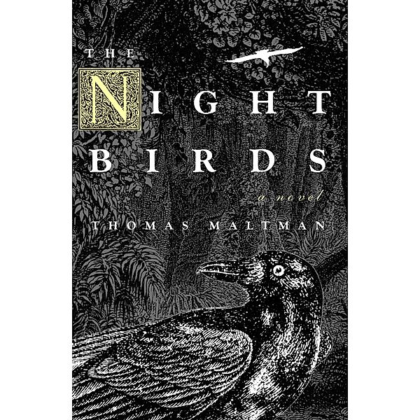 The Night Birds, Thomas Maltman