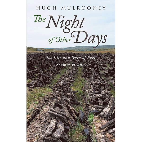 The Night of Other Days, Hugh Mulrooney