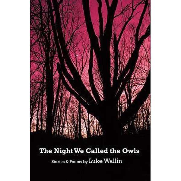 The Night We Called the Owls, Luke Wallin