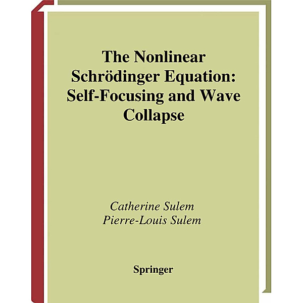 The Nonlinear Schrödinger Equation, Catherine Sulem, Pierre-Louis Sulem