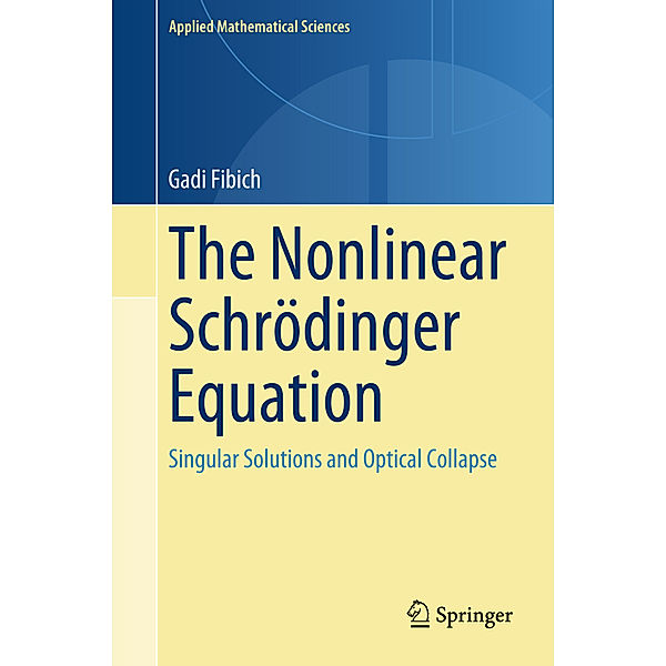 The Nonlinear Schrödinger Equation, Gadi Fibich