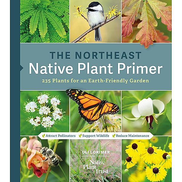 The Northeast Native Plant Primer, Uli Lorimer, Native Plant Trust
