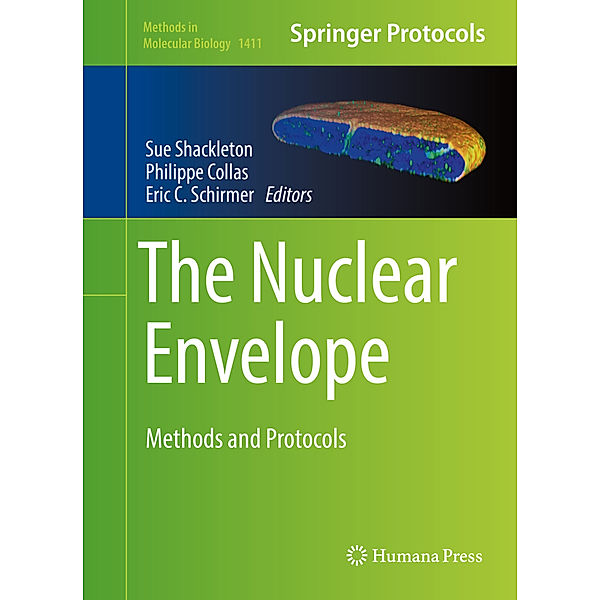 The Nuclear Envelope