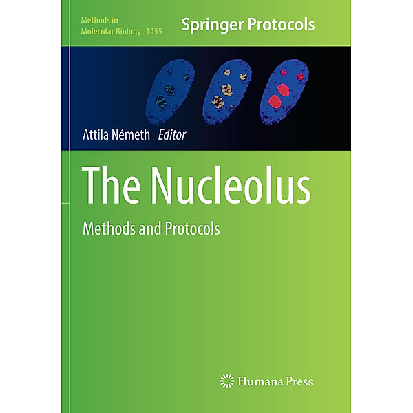 The Nucleolus