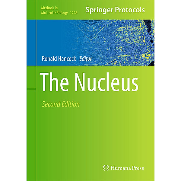 The Nucleus