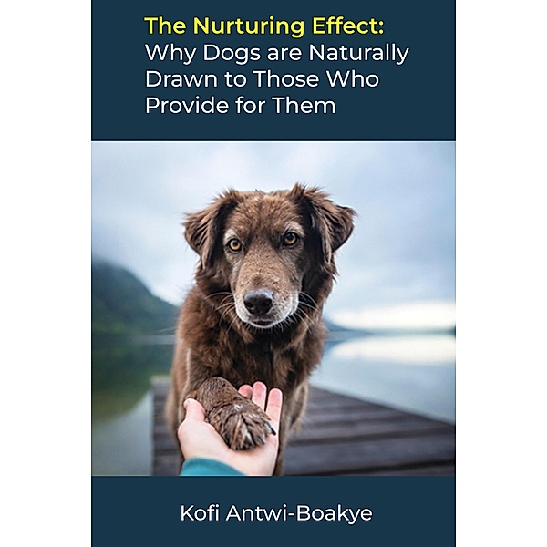 The Nurturing Effect: Why Dogs are Naturally Drawn to Those Who Provide for Them, Kofi Antwi Boakye