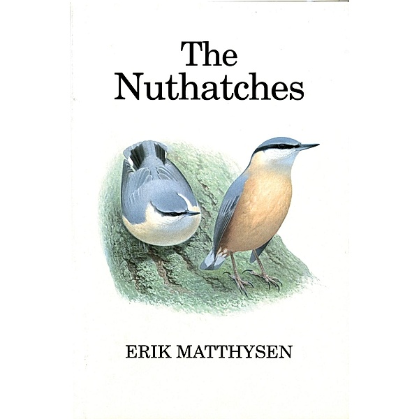 The Nuthatches, Erik Matthysen