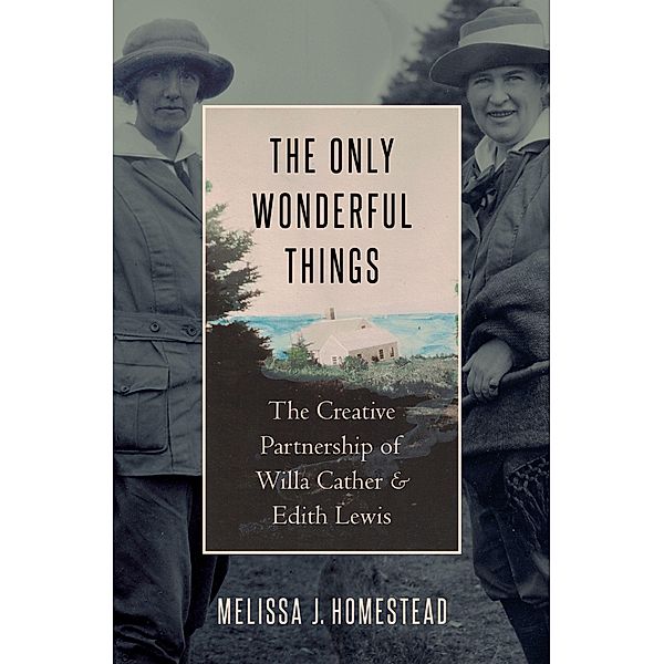 The Only Wonderful Things, Melissa J. Homestead