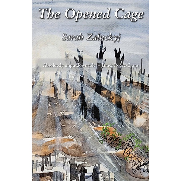 The Opened Cage, Sarah Zaluckyj