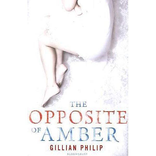 The Opposite of Amber, Gillian Philip