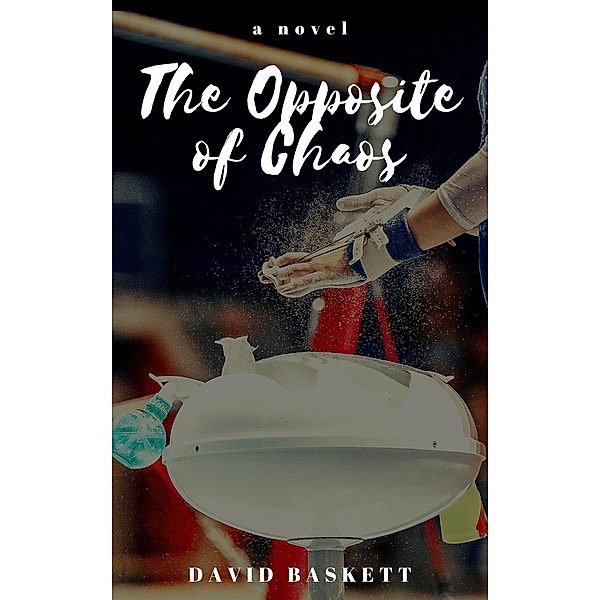 The Opposite of Chaos, David Baskett