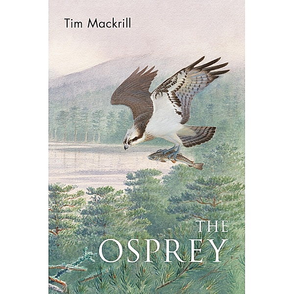 The Osprey, Tim Mackrill