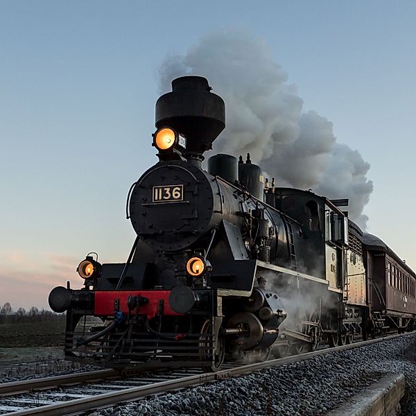 The Osterlen express railway, Katya Runow