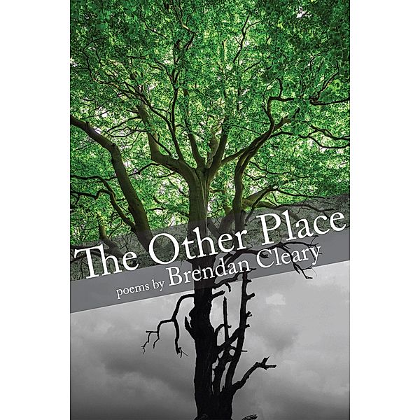 The Other Place, Brendan Cleary