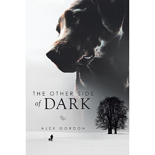 The Other Side of Dark, Alex Gordon
