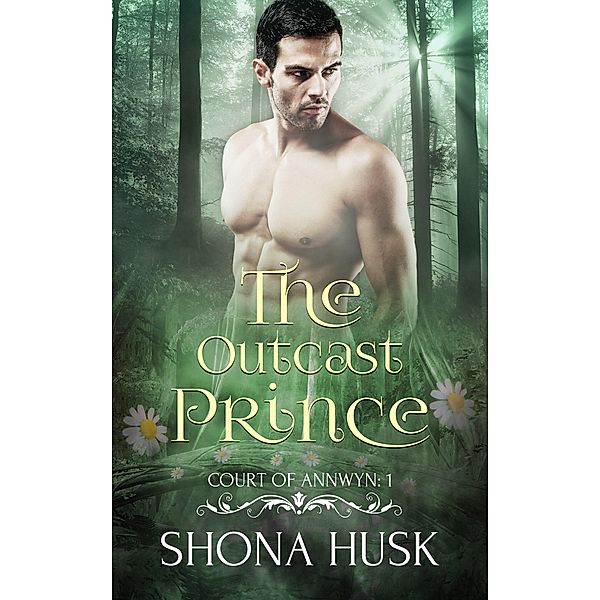 The Outcast Prince (Annwyn, #1) / Annwyn, Shona Husk