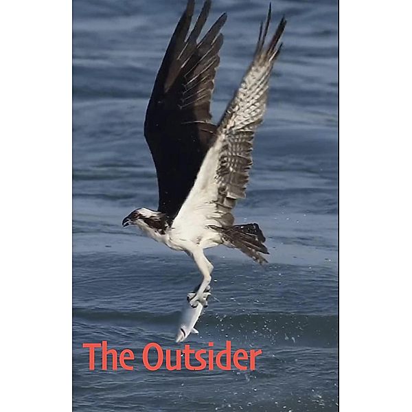 The Outsider, Aiyeko-ooto, Cash Onadele
