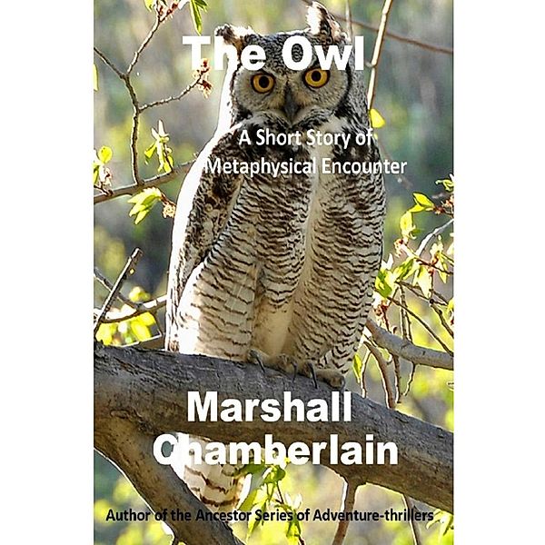 The Owl, Marshall Chamberlain