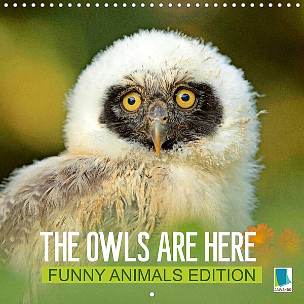 The owls are here: Funny animals edition (Wall Calendar 2023 300 × 300 mm Square), Calvendo