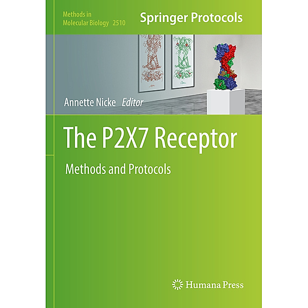 The P2X7 Receptor