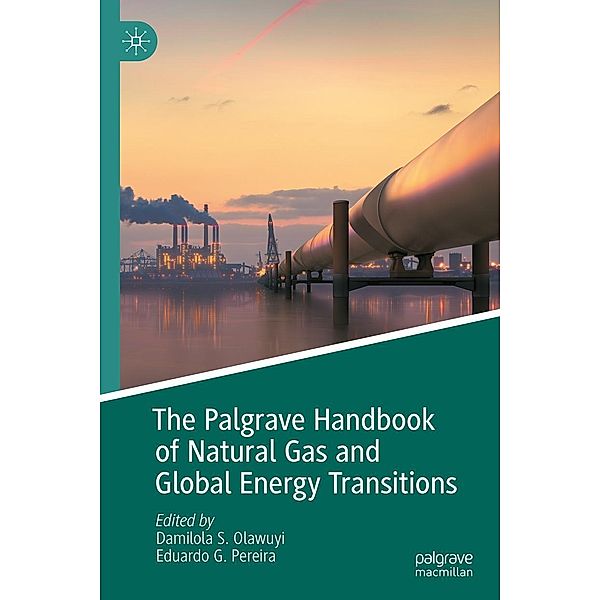 The Palgrave Handbook of Natural Gas and Global Energy Transitions / Progress in Mathematics