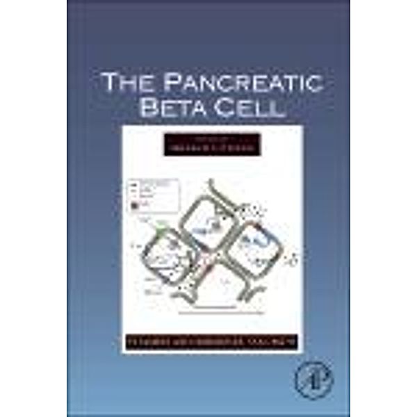 The Pancreatic Beta Cell