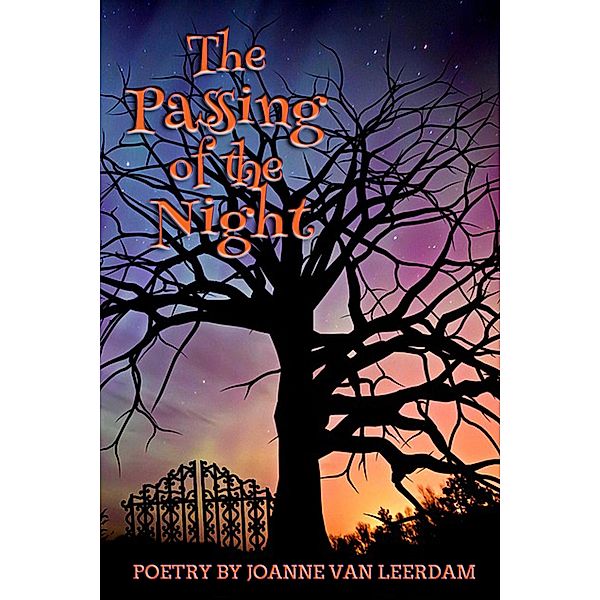 The Passing Of The Night, Joanne van Leerdam