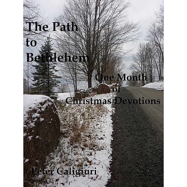 The Path to Bethlehem One Month of Christmas Devotions, Peter Caligiuri