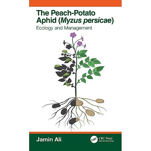 The Peach Potato Aphid (Myzus persicae), Jamin Ali