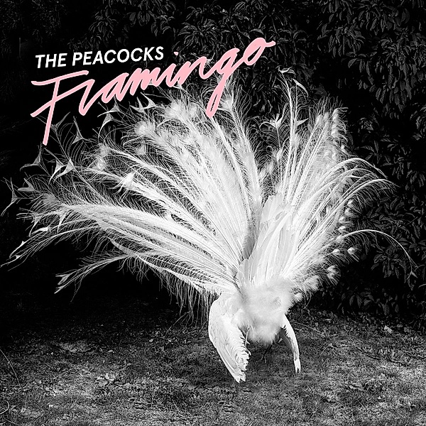 The Peacocks-Flamingo, The Peacocks