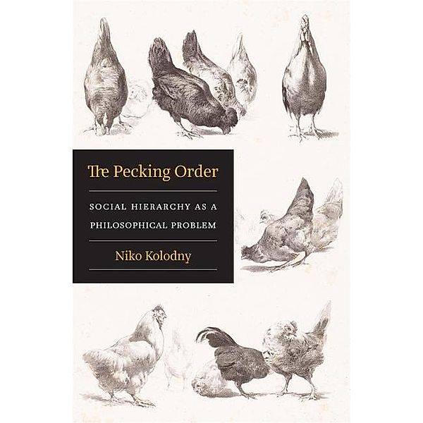 The Pecking Order, Niko Kolodny