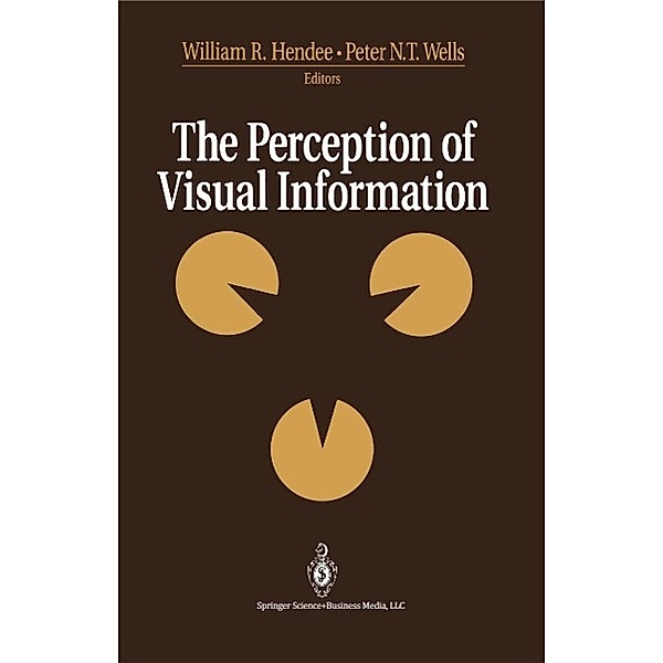 The Perception of Visual Information