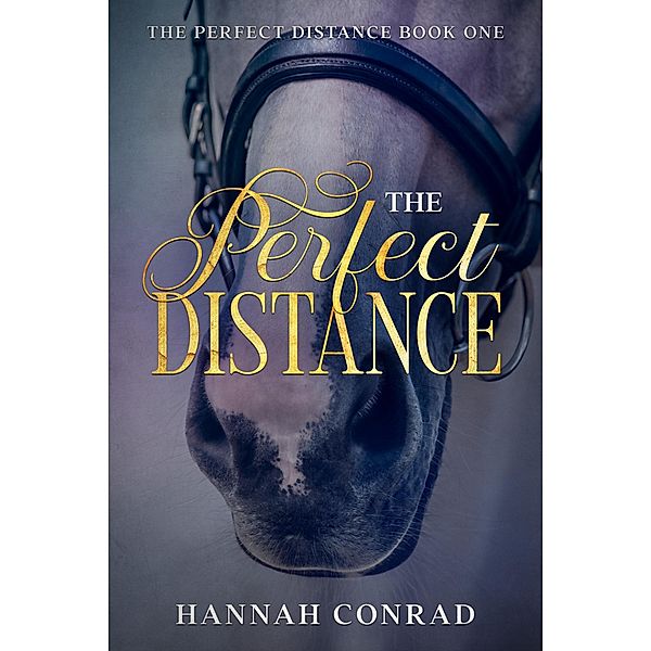 The Perfect Distance (Fantasy Unleashed: The Perfect Distance, #1) / Fantasy Unleashed: The Perfect Distance, Hannah Conrad