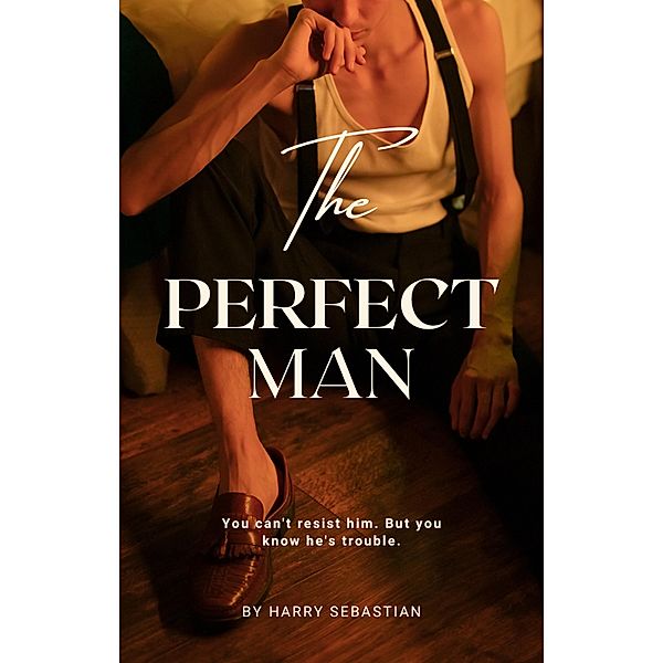 The Perfect Man, Harry Sebastian