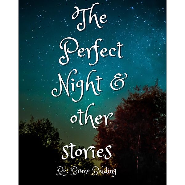 The Perfect Night And Other Stories, Bruno Balding, Bruno Bolding