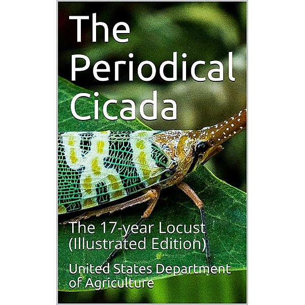 The Periodical Cicada / The 17-year Locust, United States Department of Agriculture