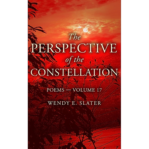 The Perspective of the Constellation, Poems-Volume 17 (The Traduka Wisdom Poetry Series, #17) / The Traduka Wisdom Poetry Series, Wendy E Slater