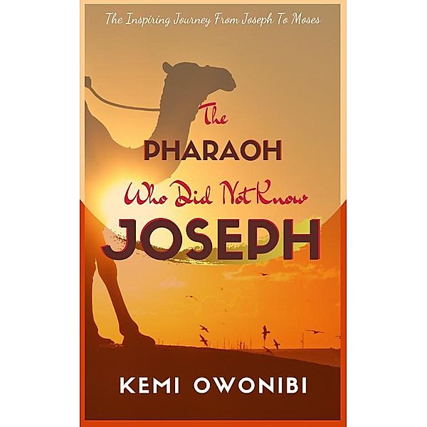 The Pharaoh Who Did Not Know Joseph, Kemi Owonibi