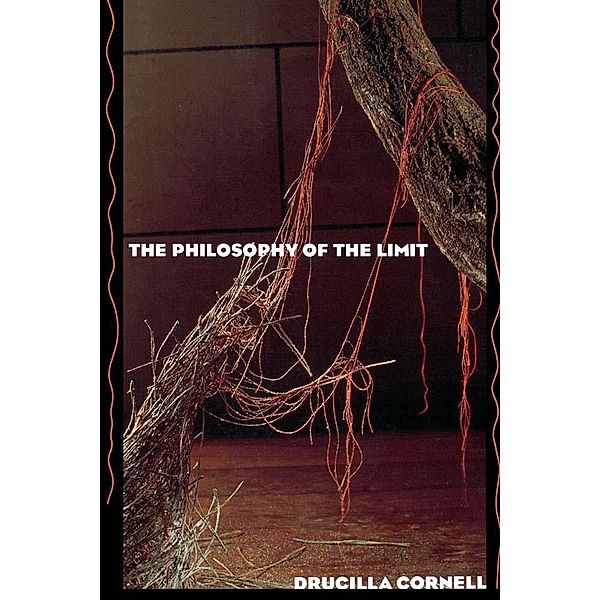 The Philosophy of the Limit, Drucilla Cornell