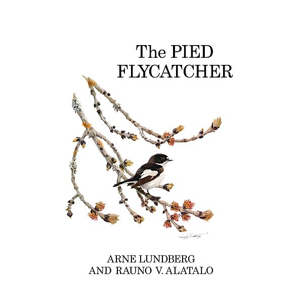 The Pied Flycatcher, Arne Lundberg, Rauno V. Alatalo