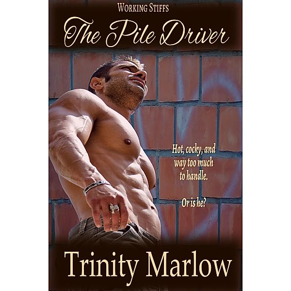 The Pile Driver (Working Stiffs, #4) / Working Stiffs, Trinity Marlow
