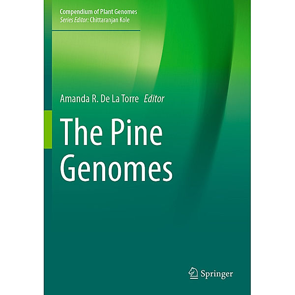 The Pine Genomes