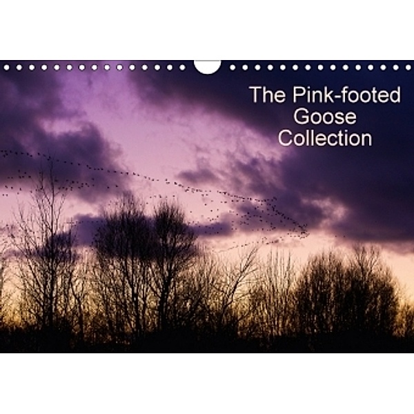 The Pinkfoot Goose Collection (Wall Calendar 2017 DIN A4 Landscape), Glenn Upton-Fletcher