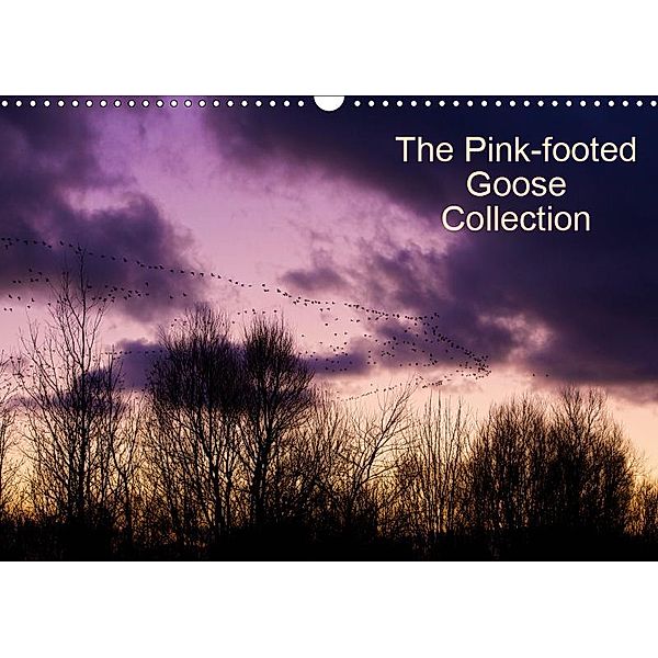 The Pinkfoot Goose Collection (Wall Calendar 2019 DIN A3 Landscape), Glenn Upton-Fletcher