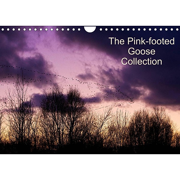 The Pinkfoot Goose Collection (Wall Calendar 2022 DIN A4 Landscape), Glenn Upton-Fletcher